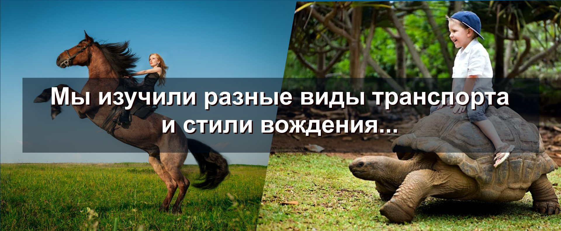 Мы изучили разные виды транспорта и стили вождения